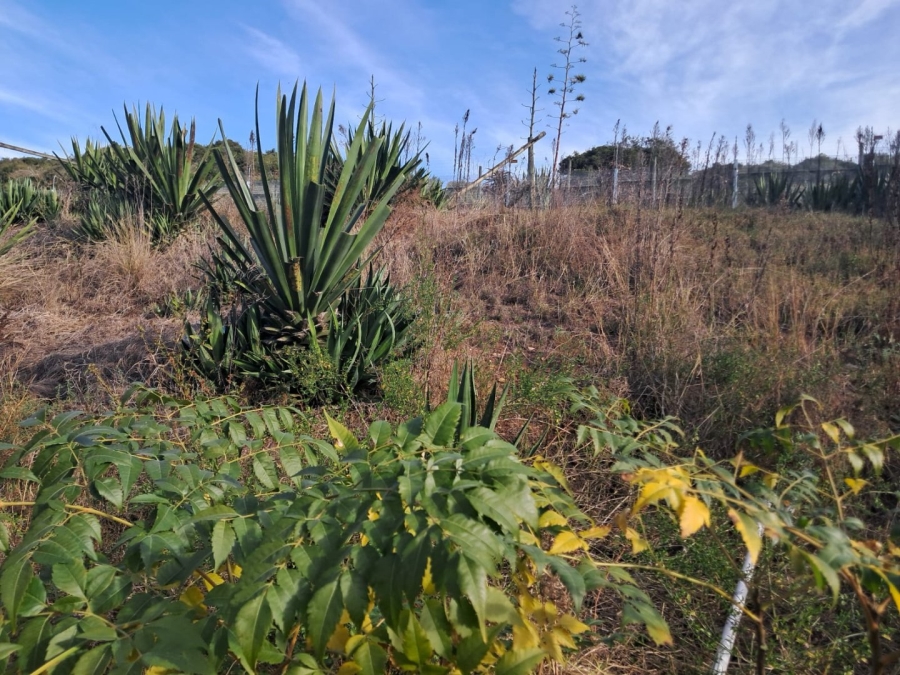 Commercial Property for Sale in Cape Road Industrial Eastern Cape